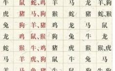 一五一十打一属相 一五一十打一对的属相为什么是马