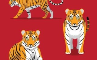 少一字是贼是什么生肖？贼人是什么打一生肖