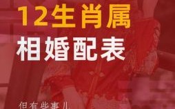 属蛇男与属猴女婚配属龙男与属猴女婚配合适吗