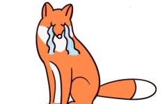 苦不堪言猜动物