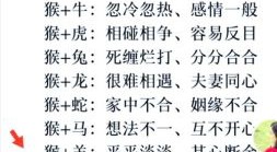 猴与什么属相最配？揭秘生肖猴最佳婚配属相