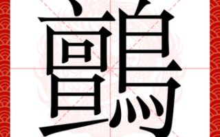 匄是什么生肖？七零八落是什么生肖