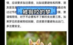 女性梦见脚被狗咬出血后驱狗并流血不止