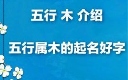 五行属木最吉利单个字女孩用 五行属木的字取名女孩单字