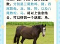 实实在在是指什么生肖 实实在在猜一动物猜一生肖