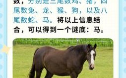 实实在在是指什么生肖 实实在在猜一动物猜一生肖