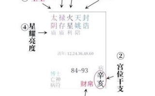 二零二五年八月二十出生男命紫微斗数命格详解与八字命盘分析