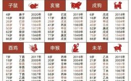 2009年属什么生肖 2009年出生现在多少岁