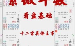 二零二五年八月二十六女命紫微斗数命盘八字推算