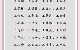 姓王取名字大全周易取名生辰八字起名免费