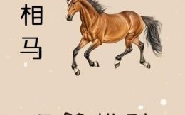 属马的贵人是什么生肖？属马人的暗中贵人