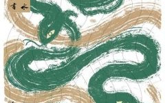 江河似靛满眼碧打一生肖