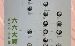 大熊猫是什么生肖呢？12生肖大熊猫的亲家是谁