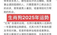 2025年生肖狗运势解析2025年运势属狗怎么样