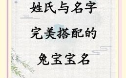 属兔姓刘男宝宝的名字 属兔姓刘的女孩名字