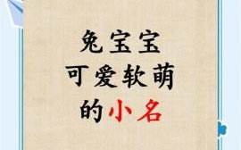 属兔女孩小名叫什么好听 属兔女孩小名叫什么好