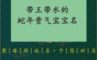 王姓蛇宝宝取名 王姓属蛇女孩名字