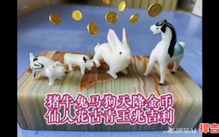 一起奔跑是什么生肖？奔跑在江河打一肖