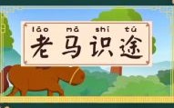 老马识途哪一生肖