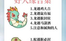 生肖是什么马？澳门马的十二生肖是些什么