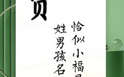 姓贾 起名字 女孩 贾字女孩取名字