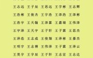 王姓启源 王姓启字辈女孩名字