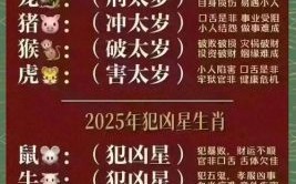 属马2025年可否远行 2025年属马运势如何