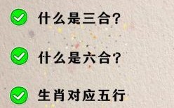 四书六经是什么生肖？四书六经最正确生肖