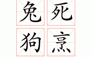 兔死狗享是什么生肖？兔死狗烹最佳答案生肖