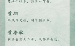 黄姓属兔女孩取名大全 黄姓属兔女孩取名