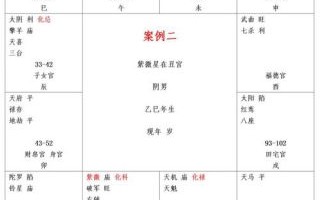 二零二五年八月二十五女命紫微斗数排盘及八字测算