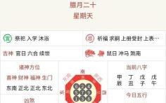 一书十五卷是什么生肖？江门书卷是什么生肖