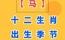 属马的人是哪年出生属马是八鸡年出生的