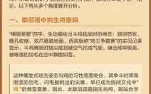 横眉竖眼指什么生肖