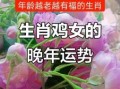 1969年属鸡女晚年运势如何属鸡女是什么命