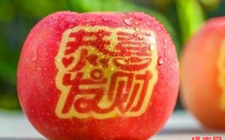 满面春风猜一生肖 满面春风猜一生肖最终答案