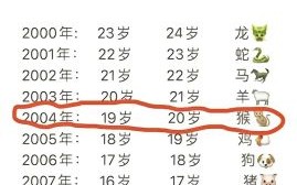 2004年今年年龄多少