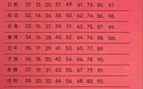 属蛇2025年看病最佳日期有哪些 属蛇2025年求职有利方位