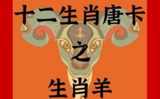 再显光辉猜一生肖