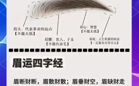 眉毛看相图解解析 眉毛看相图解全集