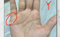 女人手相如何看子女线，手相中哪里是子女线