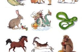 穷猿奔林打一生肖是什么生肖？深山老林打一生肖