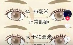 眼睛位置高低属于什么面相，眼距宽阔在面相上意味什么