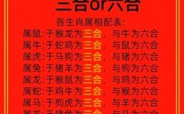 二三两边报佳音是说哪个生肖