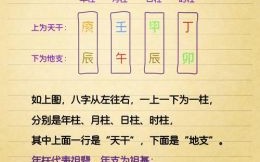 八字基础知识入门