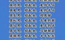 属虎男最佳配对