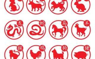 力争上游指什么生肖