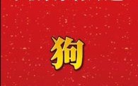 女狗最佳婚配属相揭秘，生肖配对幸福指南