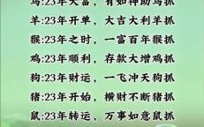 久久长长指什么生肖