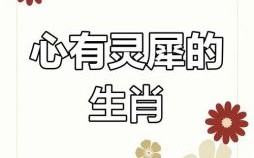 心字猜一生肖是什么？心心相惜猜一个动物